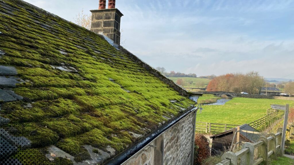 How to Remove Moss from a Roof A Homeowner’s Complete Guide